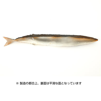 食べられない 秋刀魚