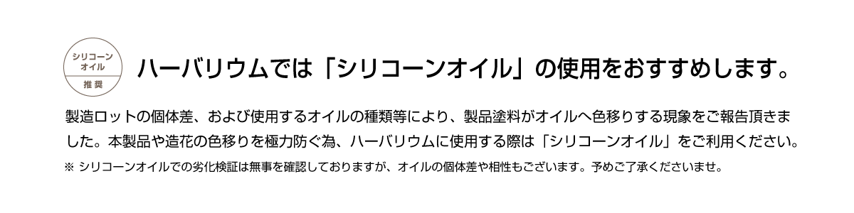 ハーバリウム用 いちご スライス